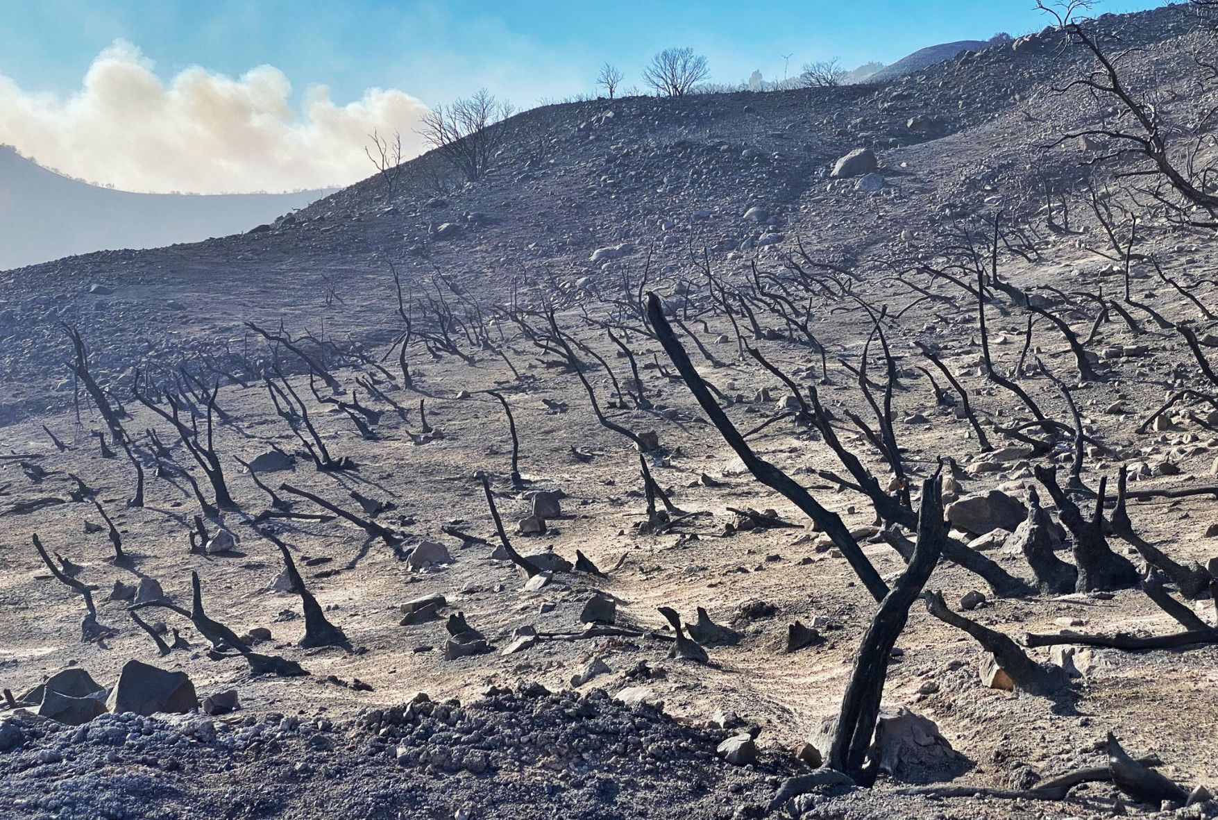 101421 alisal fire burn.jpg
